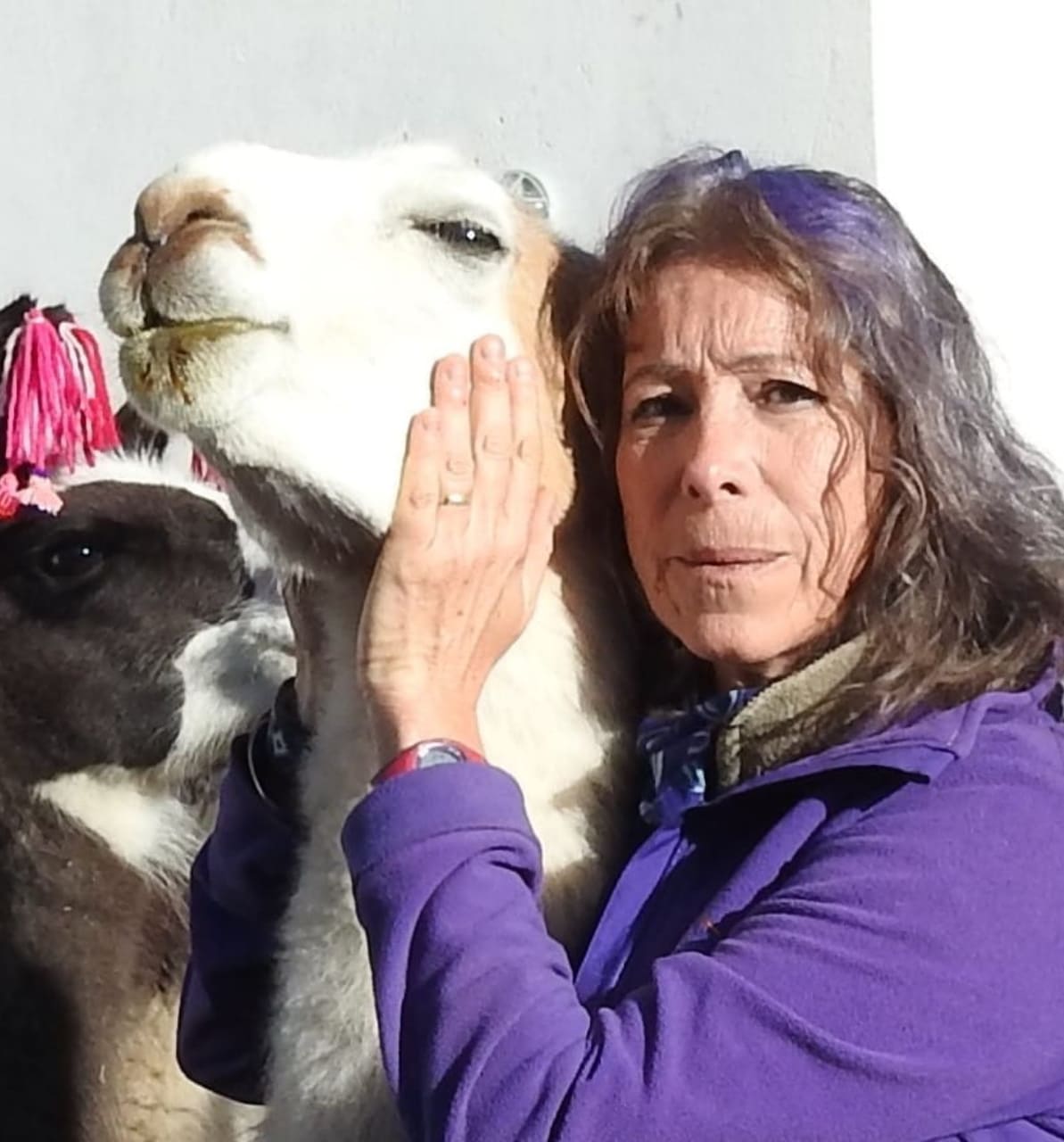 Bibiana Vilà - Small Camelids Expert